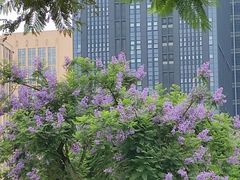 -张寨村·肉夹馍陕西面 (熙街步行街店)