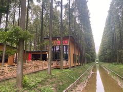 -黄海国家森林公园