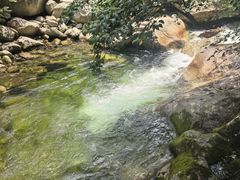 -青峰峡国家森林公园