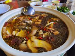 -杨记山珍鸡煲菌汤锅