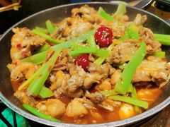 -蛙喔牛蛙(高新绿宝店)