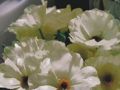 -循礼门鲜花花市(武汉循礼门店)