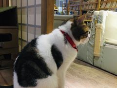 -小时光咖啡馆(开森度假森林店)