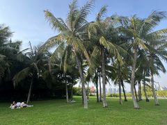 -深圳国际园林花卉博览园