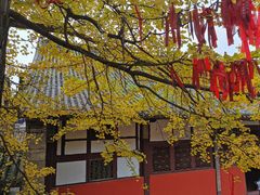 -金堂县云顶石城风景区