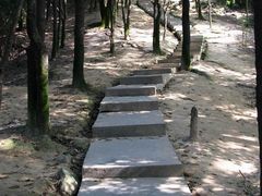 -火炉山森林公园