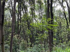 -广州市白云山风景名胜区