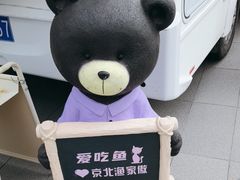 -京北渔家傲