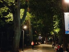 -静安公园(静安寺街道)