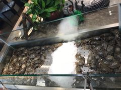 -欢乐牧场海鲜烤肉自助(牡丹园店)