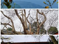 -剑门关风景区