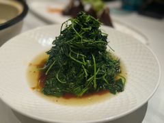 -荟廷·晶萃(陆家嘴尚悦湾店)