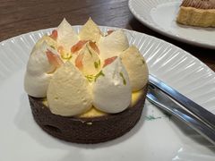 -猫里有甜