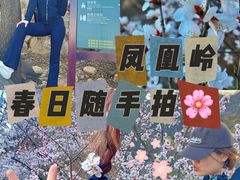 -北京凤凰岭