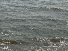 -亦木甜品(国际新城店)