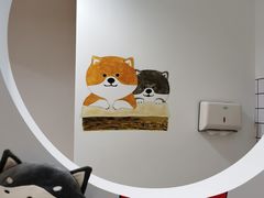 -柴迷FANS CLUB·柴犬狗咖·猫咖