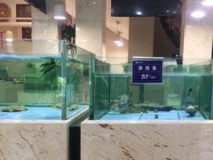 -旺顺阁海鲜广场(亚运村店)