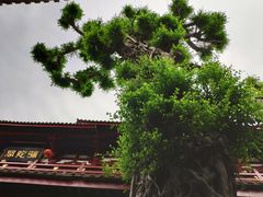 -叩齿古寺