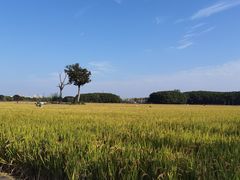 -嘉北郊野公园