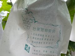 -马陆小张葡萄园农家乐