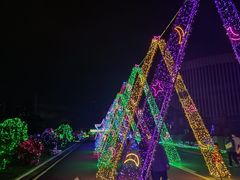 -广西壮族自治区药用植物园