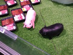 -盒马鲜生(和谐广场店)