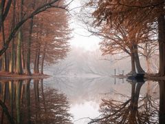 -上海共青森林公园