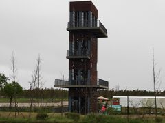 -春花秋色城市公园