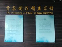 -大唐贡茶院