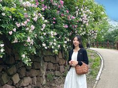 -白鹭湾湿地公园