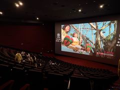 -悦江新远影城IMAX