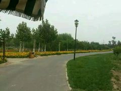 -永定河休闲森林公园