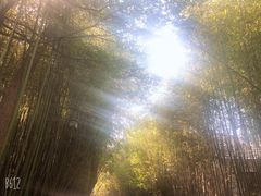 -竹泉村旅游度假区