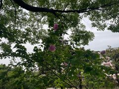 -上海大学(宝山校区)