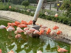 -太原动物园
