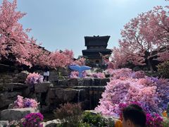 -茅山东方盐湖城景区