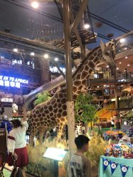 -卡通尼·Safari非洲探索乐园·生日会(金桥国际商业广场店)