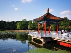 -长春市南湖公园