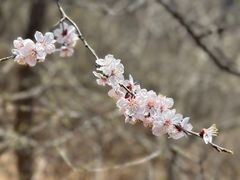 -云峰山自然风景区