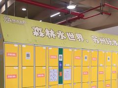 -苏州乐园森林水世界