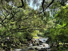 -广州市石门国家森林公园