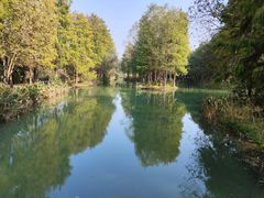 -西溪国家湿地公园