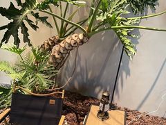 -J Create城市露营咖啡·简餐·宠物(上海动物园店)