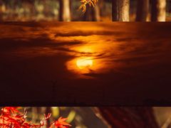 -梁鸿国家湿地公园