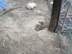 -呼吸森林·生态农庄农家乐私房菜