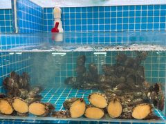 -鑫渔港海鲜本地菜·山海关浑锅(东戴河店)