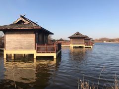 -杭州湾海上花田景区