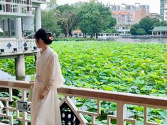 -荔湾湖公园