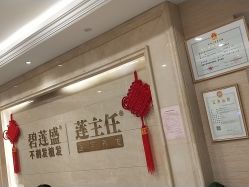 -碧莲盛·不剃发植发