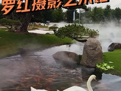 -罗红摄影艺术馆